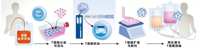 201901251522154948 DB电子·(中国)游戏官网