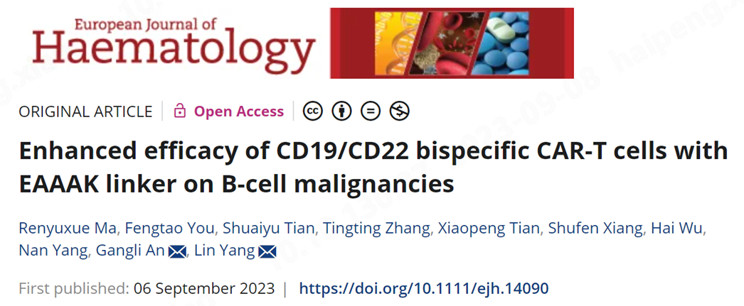 Eur J Haematol | db电子游戏医药颁发EAAAK接头设计双靶CD19/CD22-CAR-T的作用机制